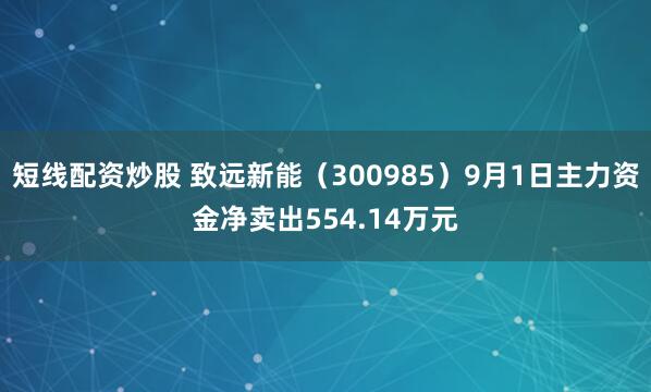 短线配资炒股 致远新能（300985）9月1日主力资金净卖出554.14万元