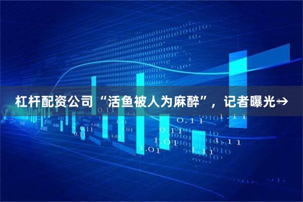 杠杆配资公司 “活鱼被人为麻醉”，记者曝光→