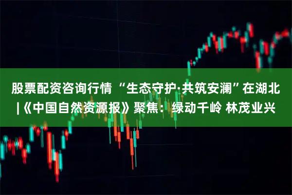 股票配资咨询行情 “生态守护·共筑安澜”在湖北|《中国自然资源报》聚焦：绿动千岭 林茂业兴