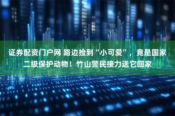 证券配资门户网 路边捡到“小可爱”，竟是国家二级保护动物！竹山警民接力送它回家